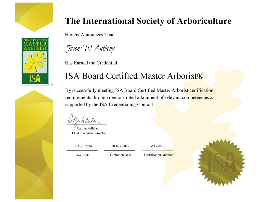 Trusted Tree Care from a Board Certified Master Arborist® 1